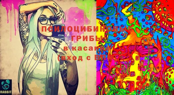 винт Каменногорск