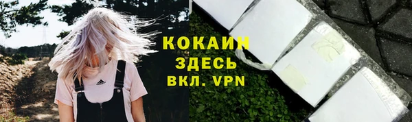 винт Каменногорск