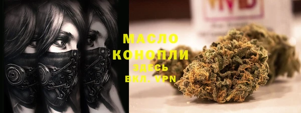 дмт Касимов