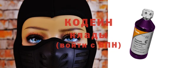 гашик Иннополис