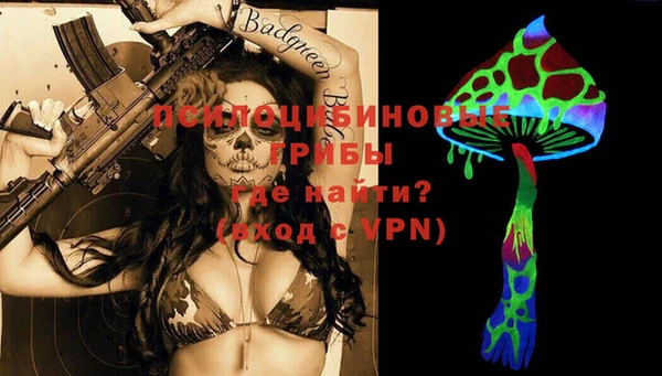 трава Инта