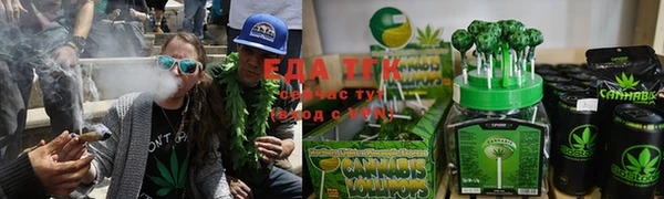 трава Инта
