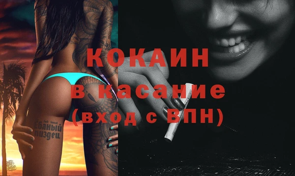 трава Инта