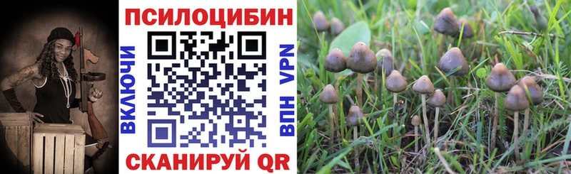 Купить Дмитриев Псилоцибиновые грибы GOLDEN TEACHER